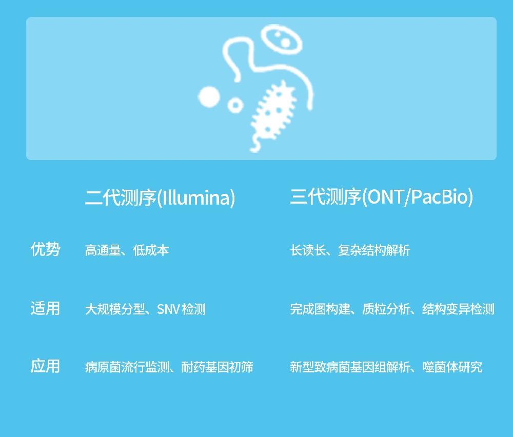 细菌基因组测序（二代/三代）