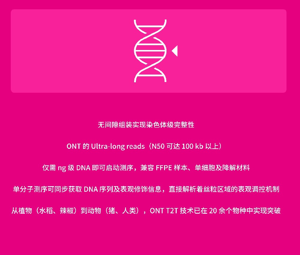 T2T基因组