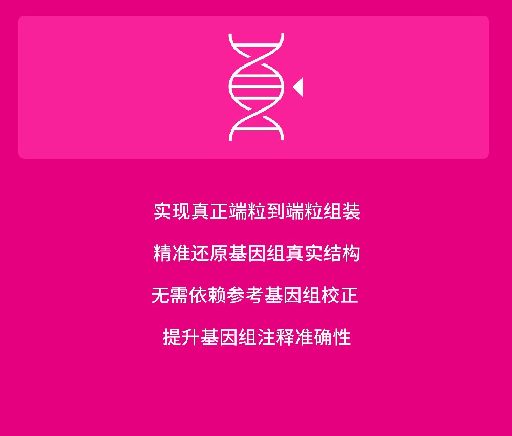 T2T基因组