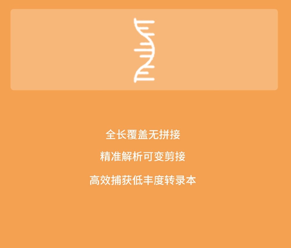 三代全长转录组 cDNA